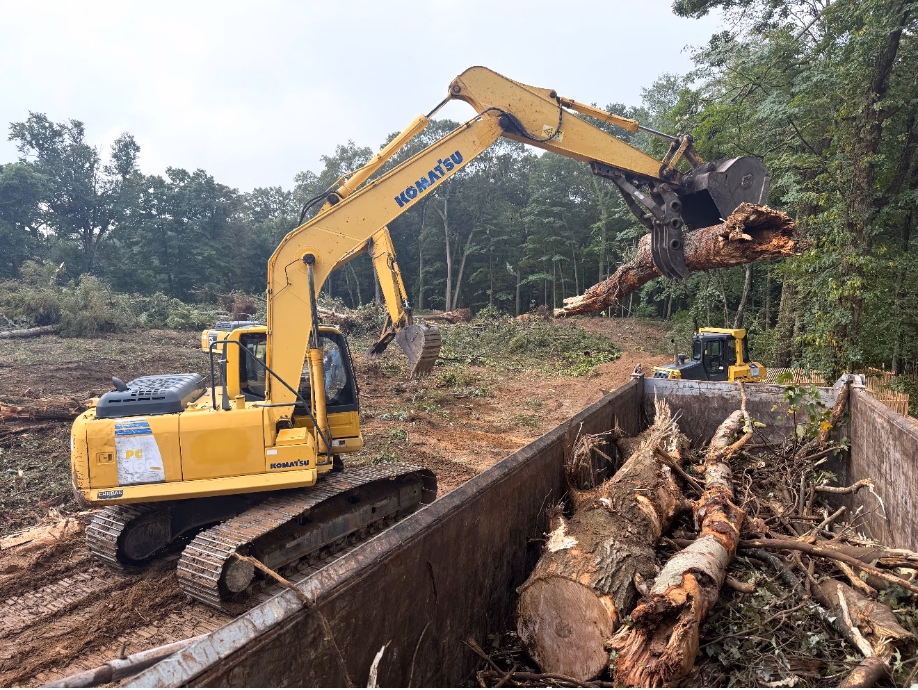 D.C. Crane Service performing Excavation & Land Clearing on Long Island, NY
